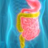 IBS Treatment: Dietary Guidance and Medication Strategies