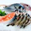 Redefining Safety Standards for Seafood Consumption