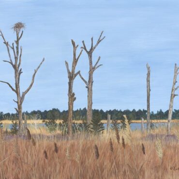 Artist Kathy Buschi to appear at sea glass festival June 1-2