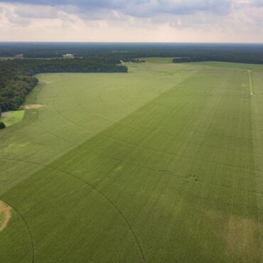 Milton council to hold special Granary meeting