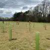 Delaware launches $1.5M Forest Resiliency Fund