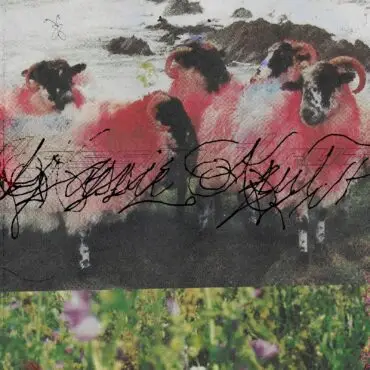 Kassie Krut Announce Expanded EP, Share Panda Bear Remix of “Hooh Beat”