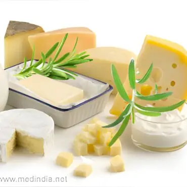 Sour Power: Fermentation Boost for Plant-Based Dairy!