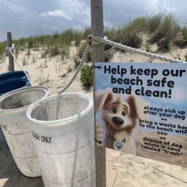 Dewey officials urge folks to clean up after their pets