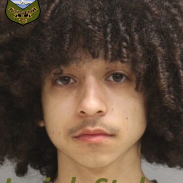 Several vehicles involved in Rehoboth crash