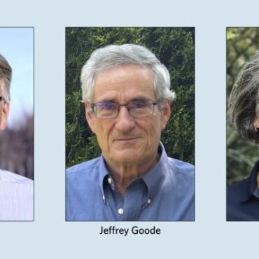 Rehoboth candidates sound off on transparency, finances and more