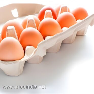 Plant-Based Eggs—Tasty Swap or Just Hype?