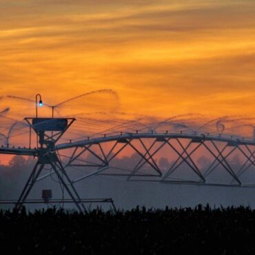 10-month state drought warning lifted after rains replenish groundwater