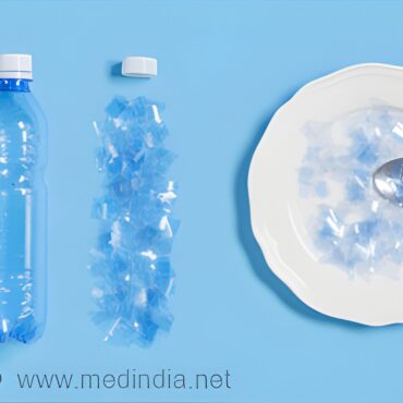 Beyond BPA: Researchers Find Harmful Chemicals in Food Stickers