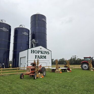 Hopkins Farm welcomes the season with fall festival weekends