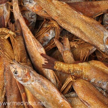 Dried Fish: The Tiny Superfood Feeding Africa’s Future