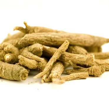 Ginseng: Nature’s Ancient Energy Booster