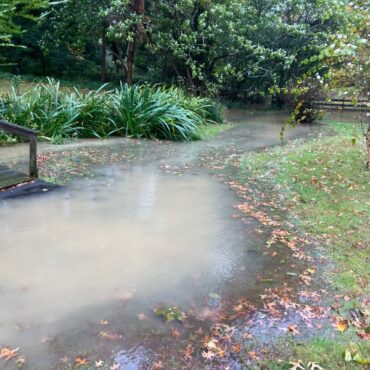 Lewes homeowners seek fix for backyard flooding