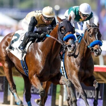 2025 Breeders’ Cup Classic prediction, odds, picks, best bets from elite horse racing expert