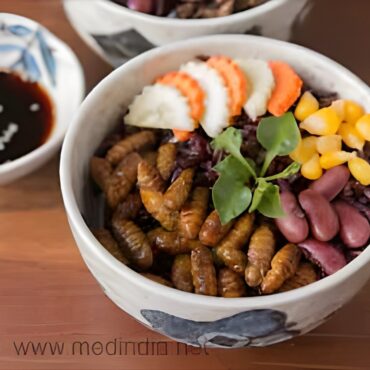 Grasshoppers’ Culinary Tale: Oaxaca’s Ancient Protein Treasure