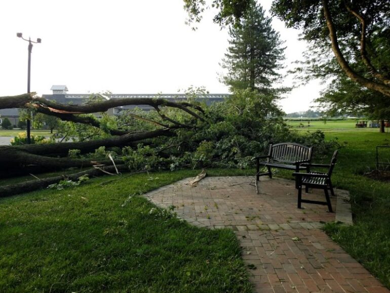 Storm preparedness tips for potential electricity service interruptions