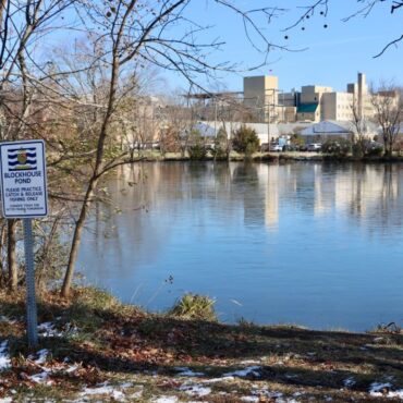 Lewes group proposes fixes for Blockhouse Pond shoreline