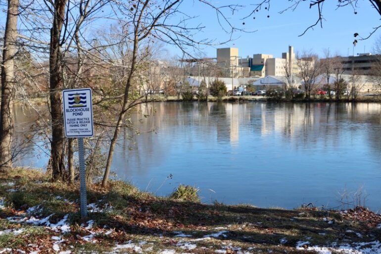 Lewes group proposes fixes for Blockhouse Pond shoreline