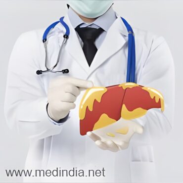 Fatty Diet Crisis: Why Liver Cells Trade Function for Survival