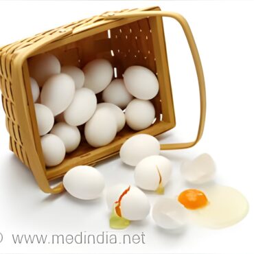 Egg Controversy Update: Why Eggs Are Safe to Eat Today