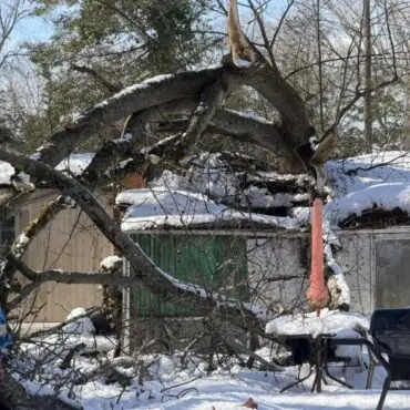 Angola-area home damaged by fallen tree