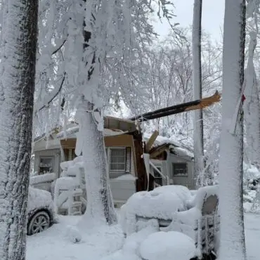 Fallen tree damages Angola-area home