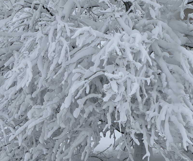 Sussex digs out of massive winter storm