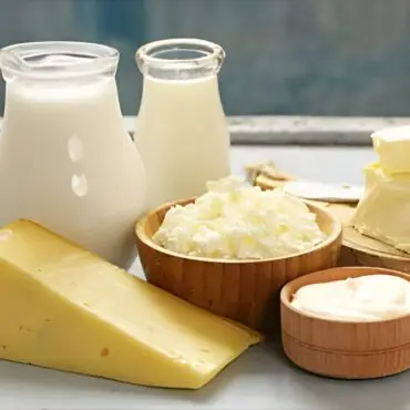 From Yogurt to Cheese: Microbes Add Extra Protein to Fermented Foods