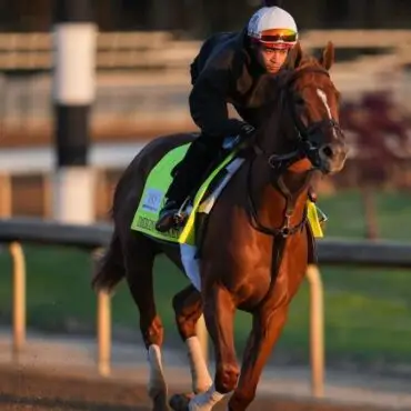 Kentucky Derby 2026 odds, post positions, picks, date, time: Renegade, Further Ado, Commandment best bets