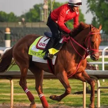 2026 Kentucky Derby predictions, horses, odds, date: Surprising picks via top horse racing expert