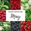 Seasonal Produce Guide: May | Illustrated Guide with Recipes