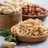 Say Goodbye to Peanut Allergy: Crunching Small Amounts Toward a Safer Future