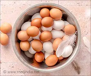UK Salmonella Outbreak: Are Imported Eggs Linked to 207 Cases?